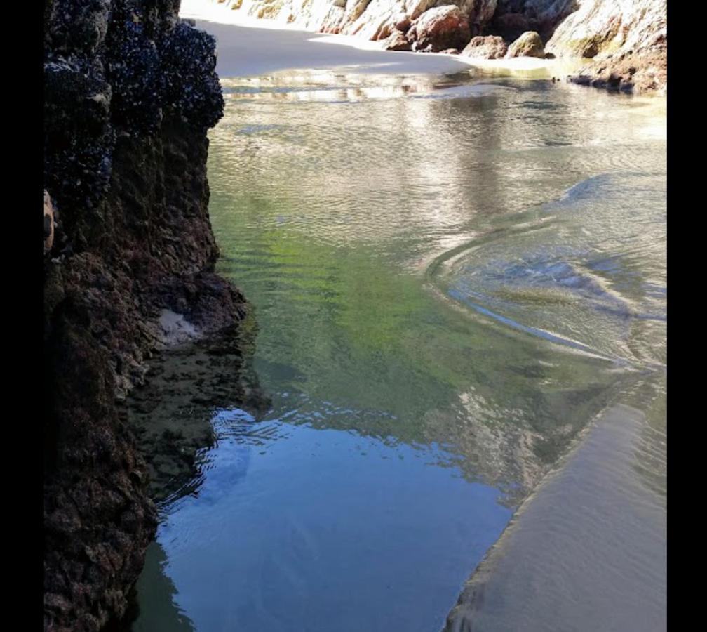 Entre Mer Et Foret Beach House Garden Route Natureʼs Valley Exterior foto